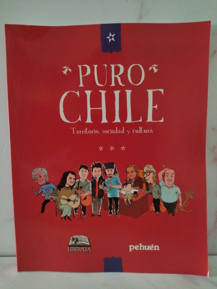 Puro chile: territorio, sociedad y cultura