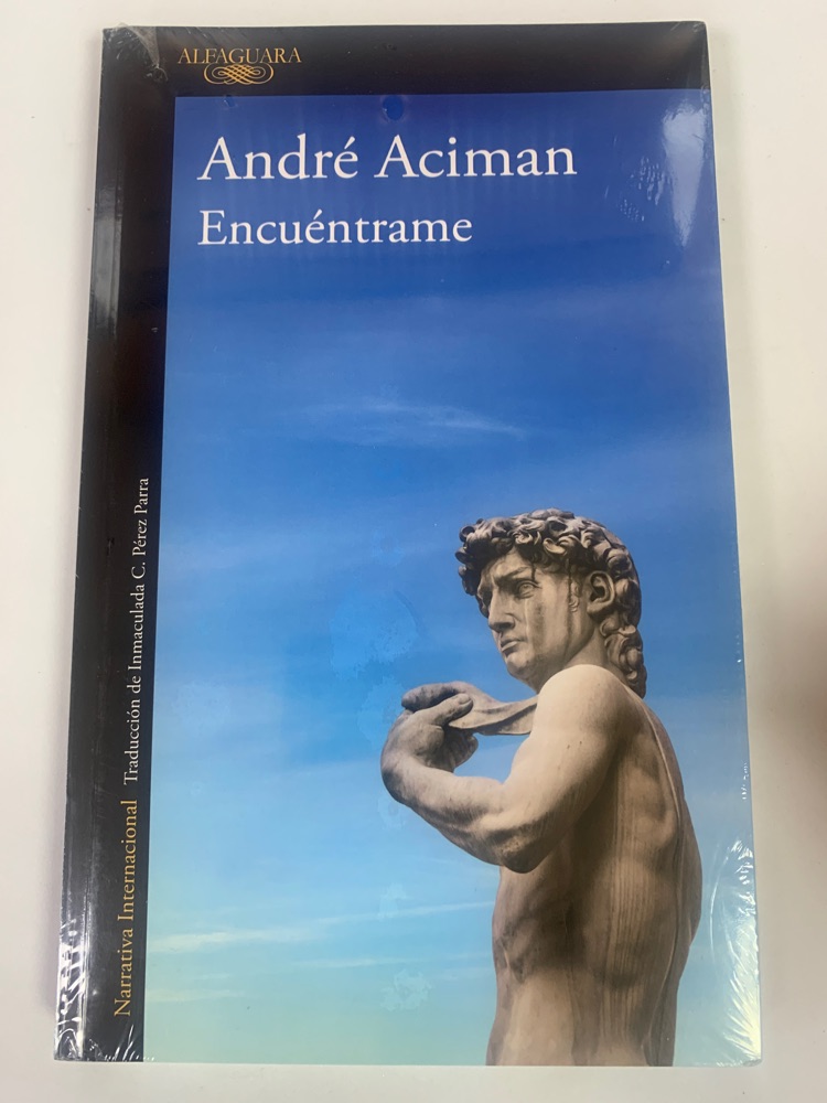 Encuéntrame (Llámame por tu nombre 2)