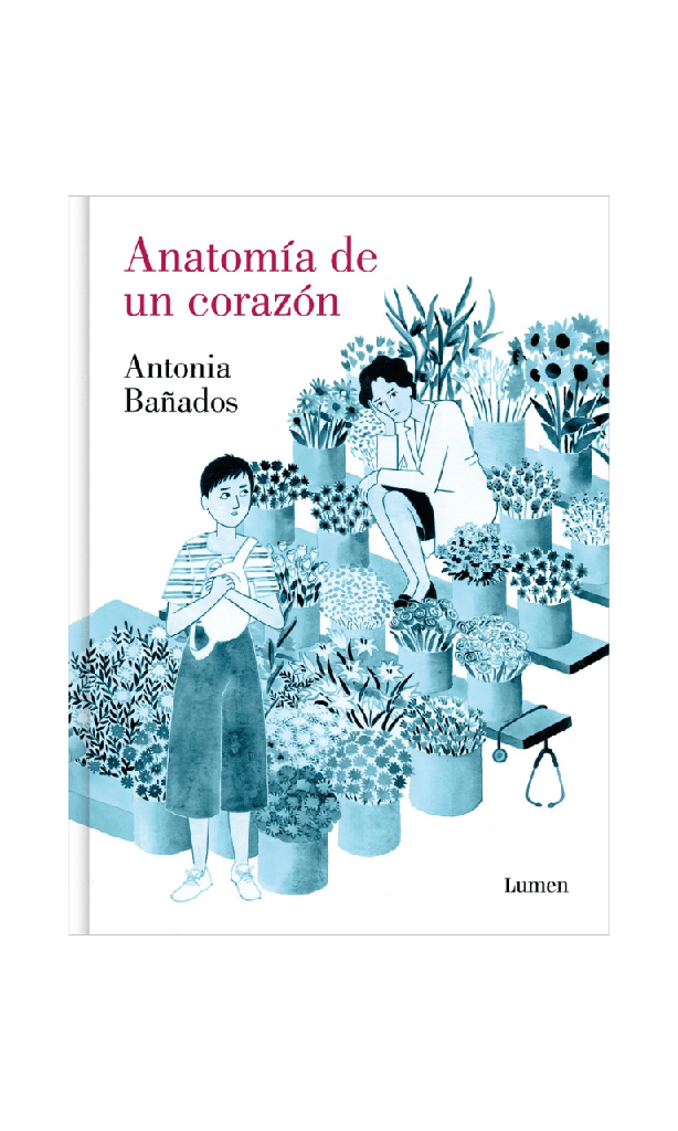 Anatomía de un corazón