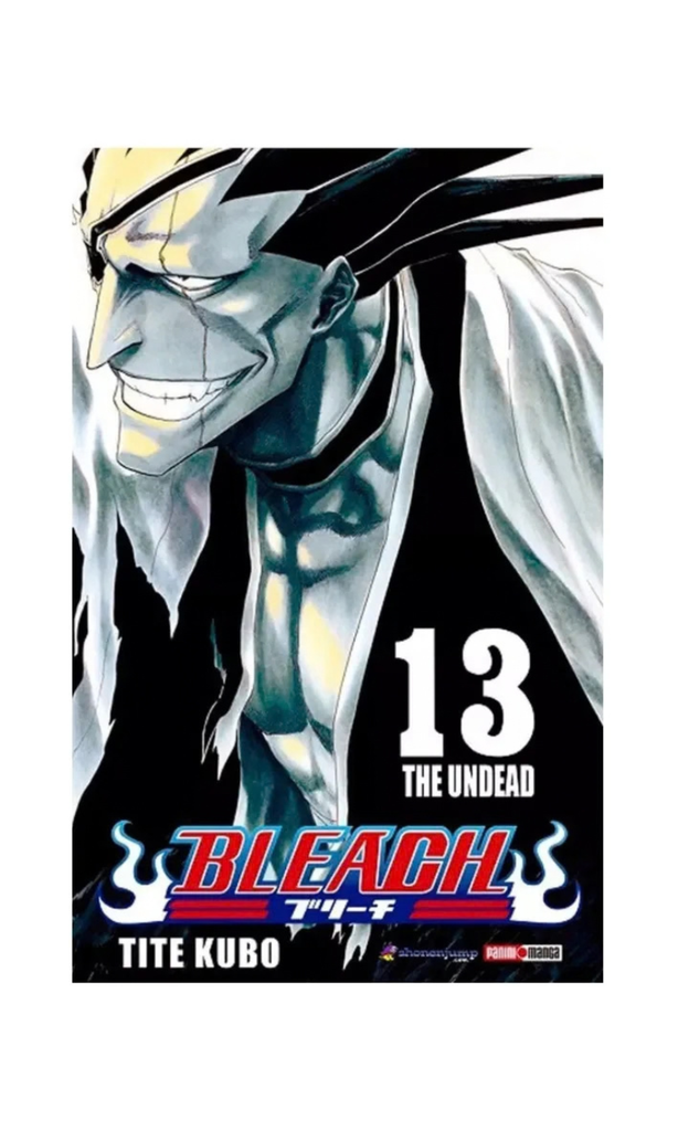 [9781401255213BOOK] Bleach 13 - México